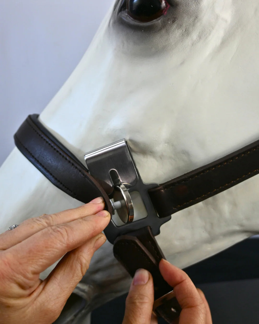 Correct Connect Magna Halter™ in Black With Leather Breakaway