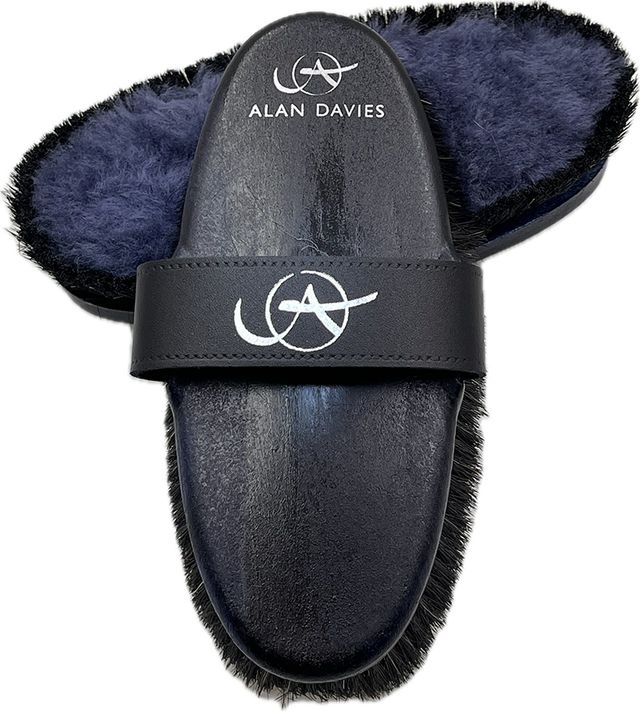 Alan Davies Diva - Polisher