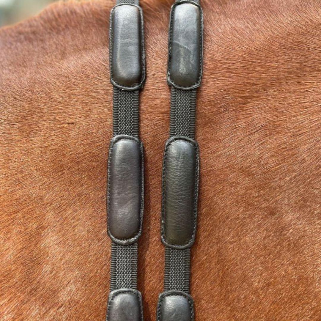Correct Connect Comfort Connect Rein - Intermittent Padding