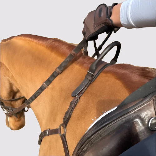 Correct Connect Free Motion Breastplate with Double Neck Strap