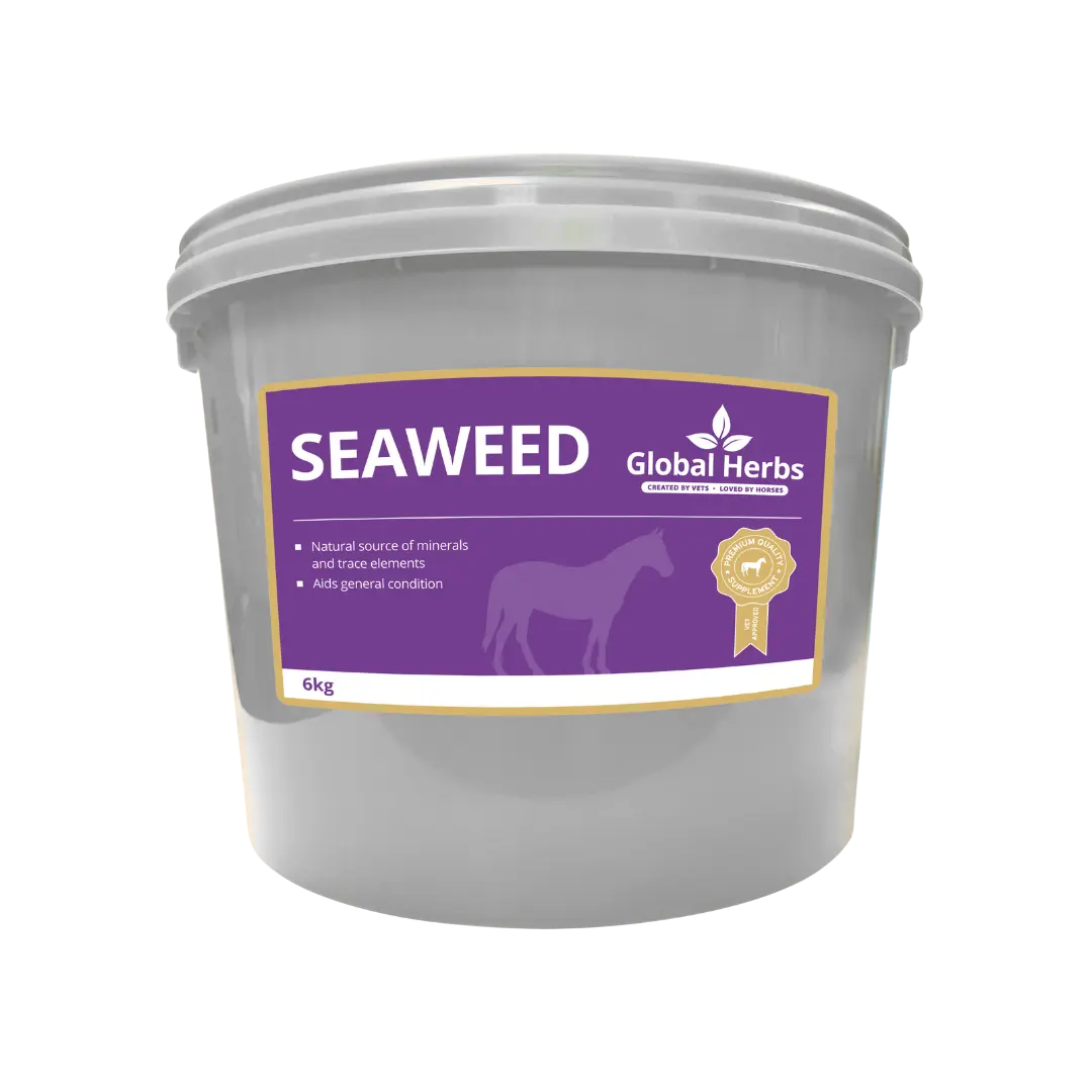 Seaweed - Global Herbs