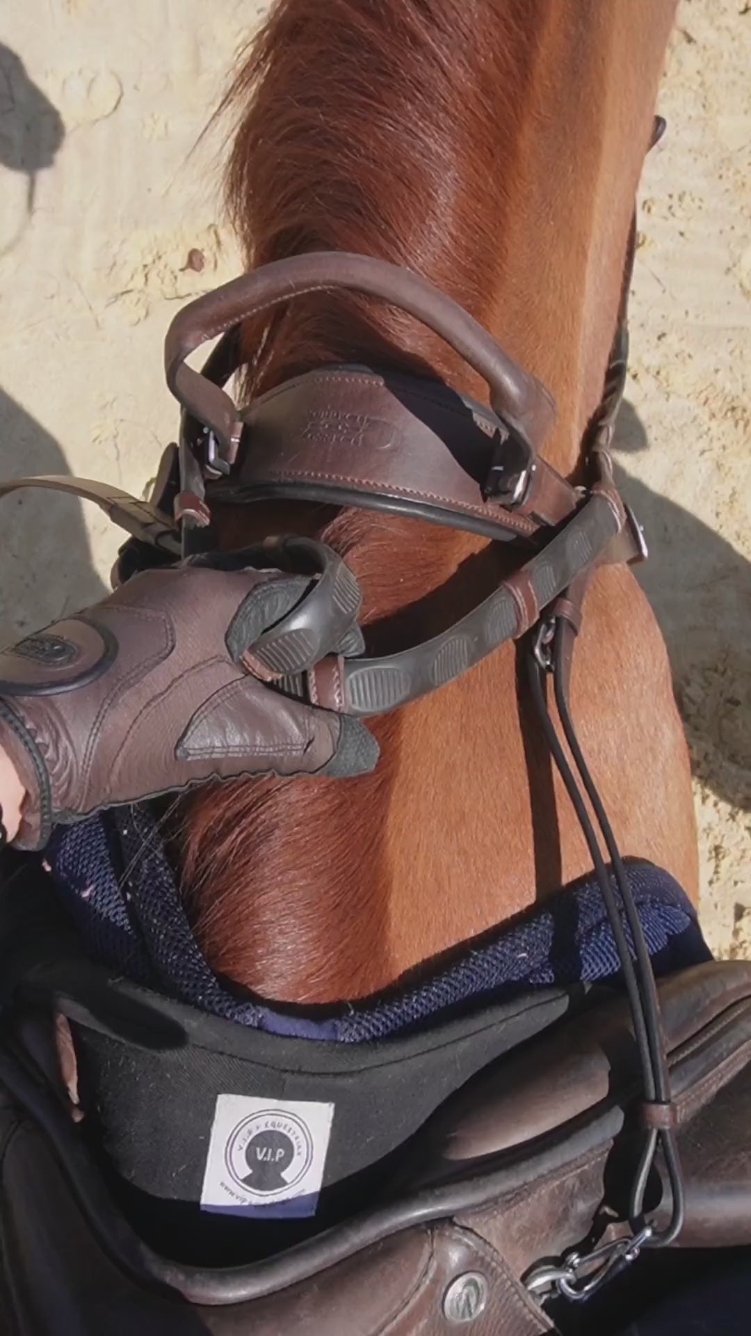 Rider perspective of the Correct Connect Double Neck Strap in use on chestnut brown horse