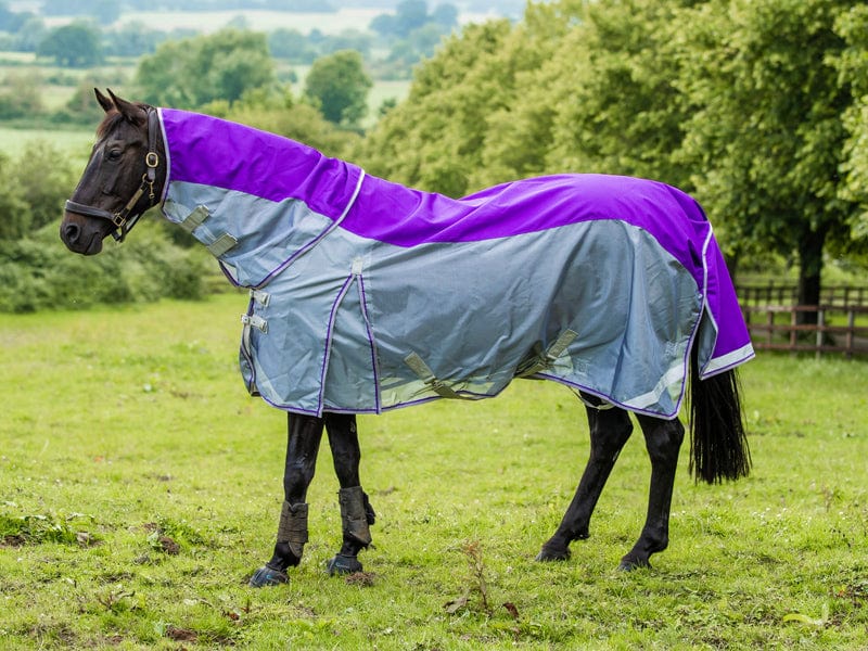 Fly Turnout Combination Rug - Purple