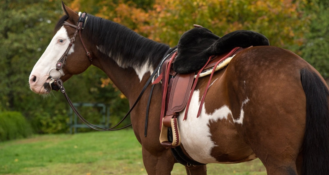 Sheepskin Seat Savers for Western Saddles - XL