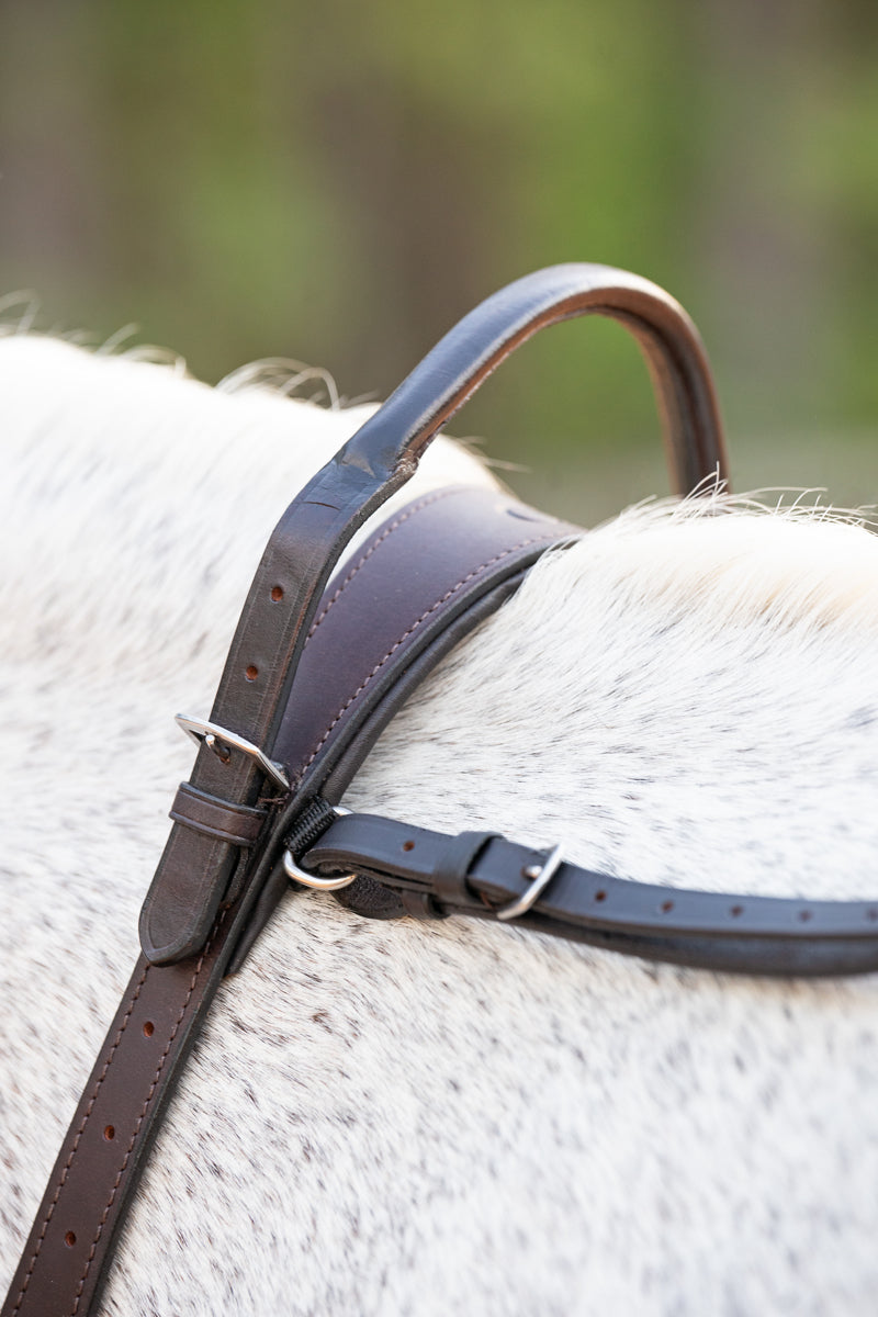 Close up of some of the fastenings on the Correct Connect ouble Neck Strap for horses and ponies