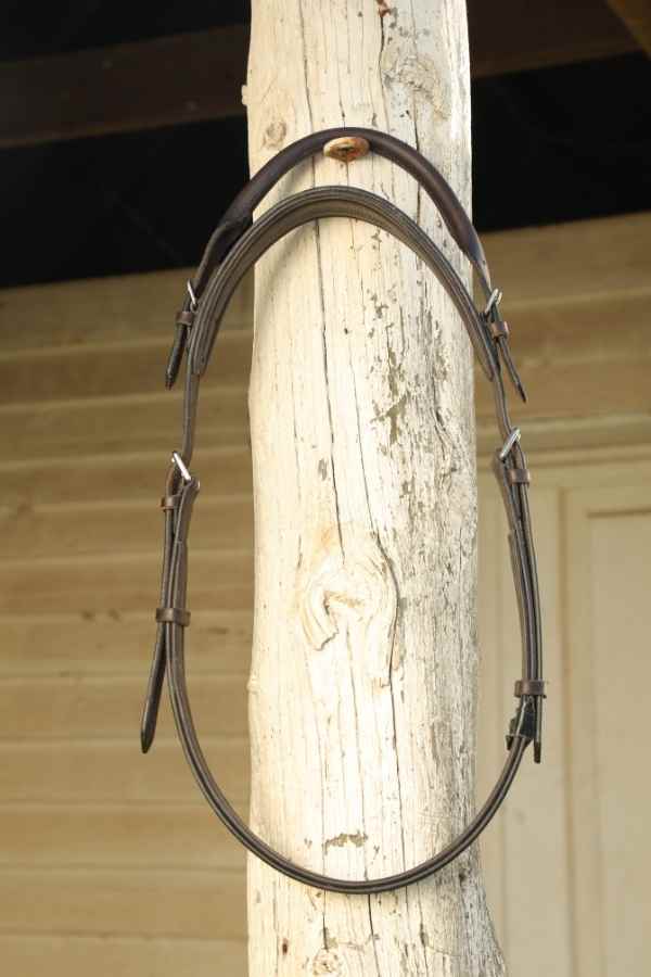 The Correct Connect Double Neck Strap hung up at stables