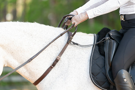 Best Tack for Riding Fresh Horses This Winter