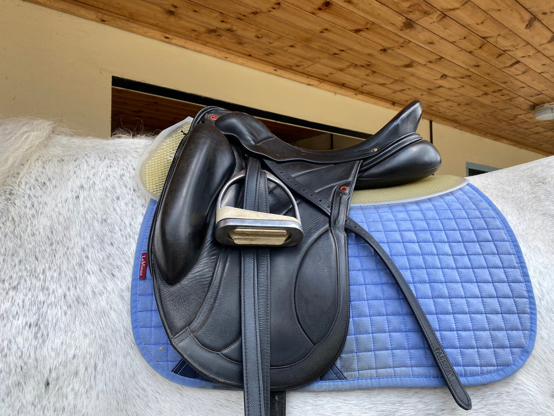 gold vip saddle pad for horses