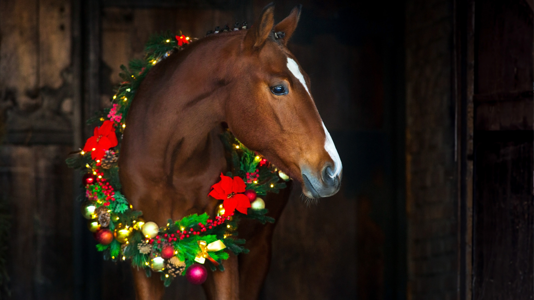 The Best Gift For You & Your Horse This Christmas