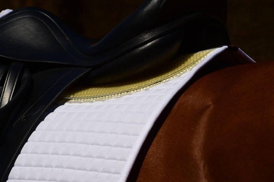 Why Western Riders Are Turning to VIP: The Slimline Impact Protection Pad Making a Big Difference