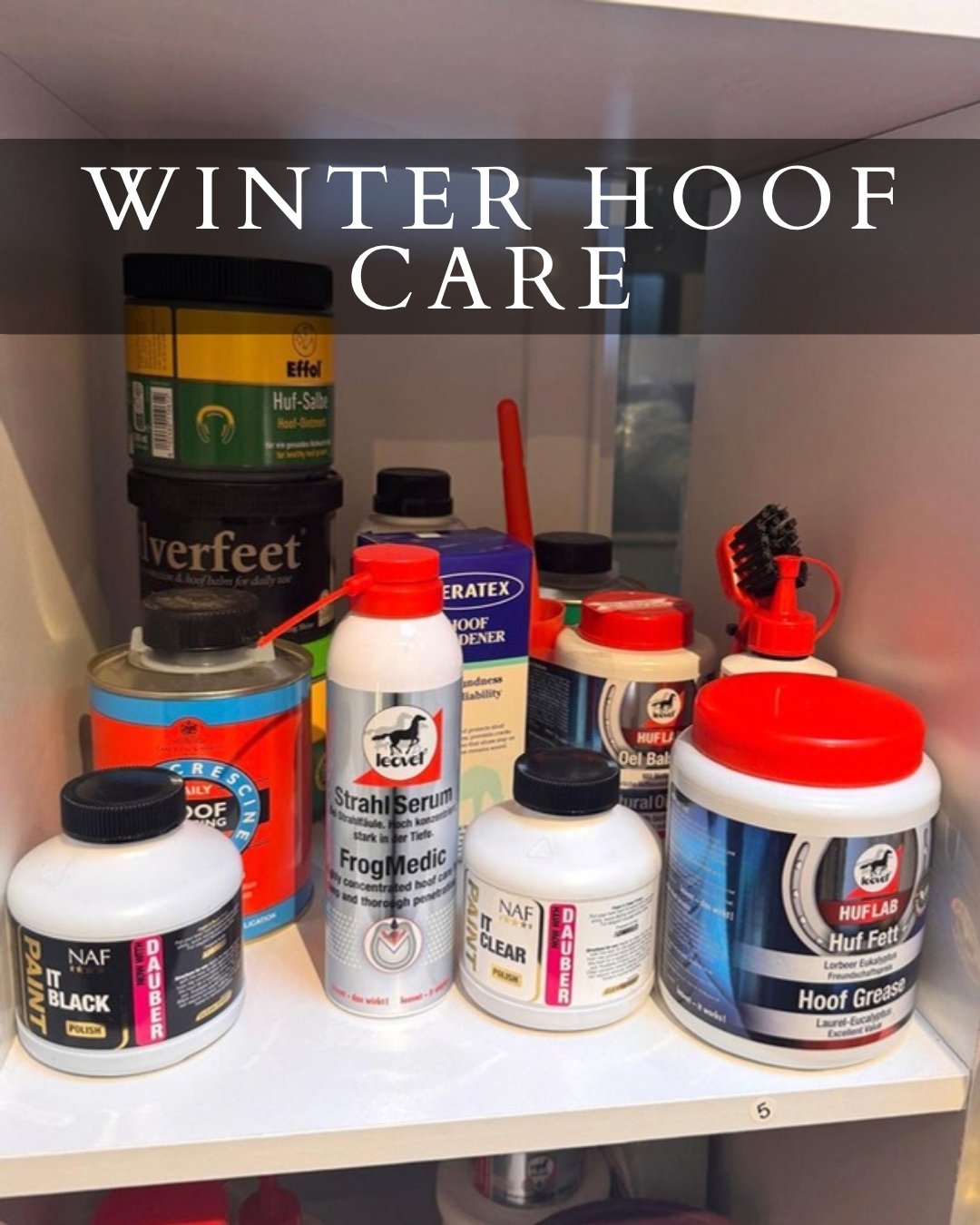 Hoof care products on the shelf at VIP Equestrian