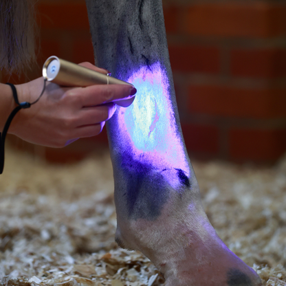 ProLight Therapy Pen