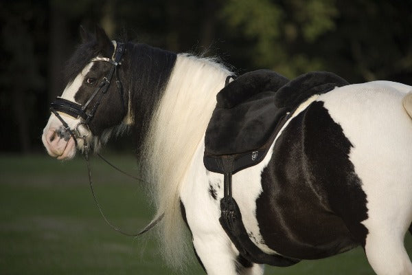 Iberica PLUS Bareback Riding Pad
