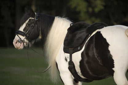 Iberica PLUS Bareback Riding Pad