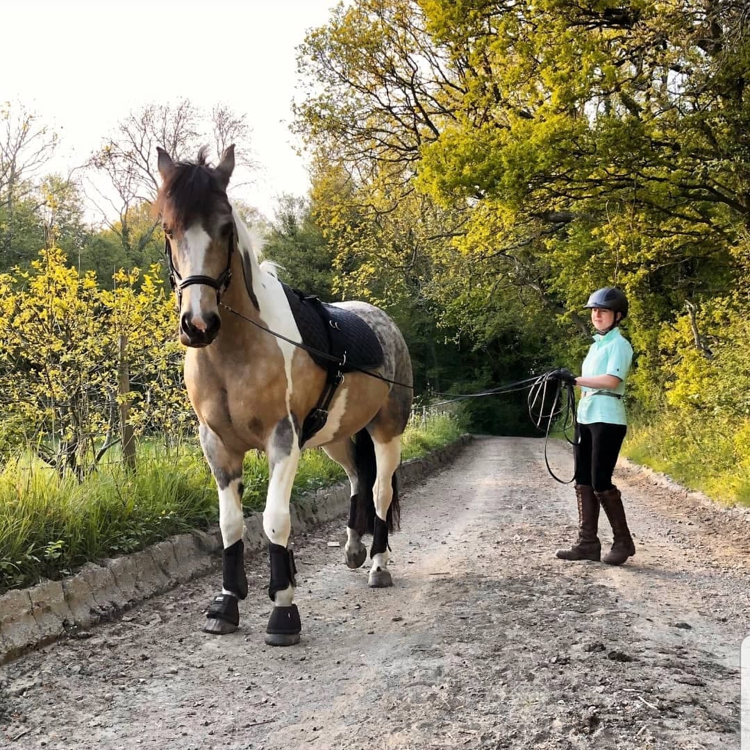Leather long reins/lines