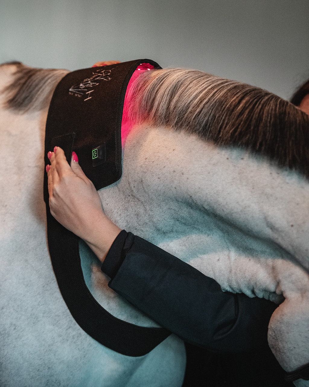 ProLight Therapy Pad