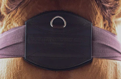Tapestry leather long girth