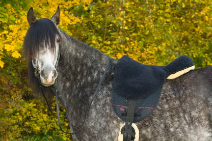 Basic PLUS Bareback Riding pad