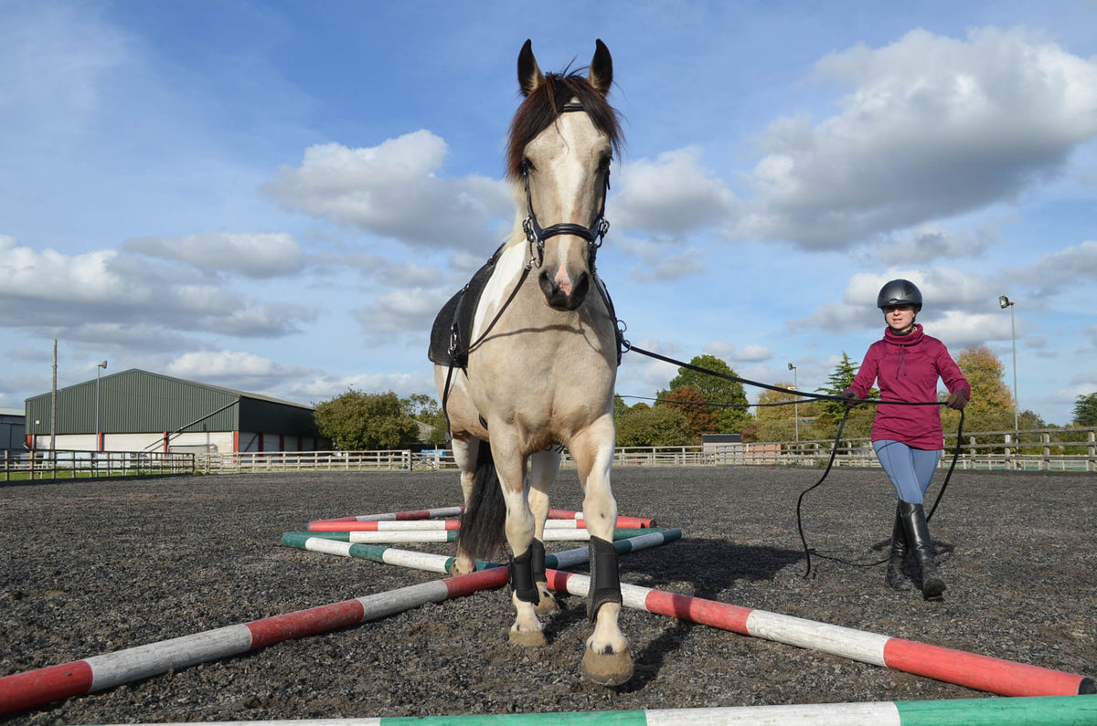 Leather long reins/lines