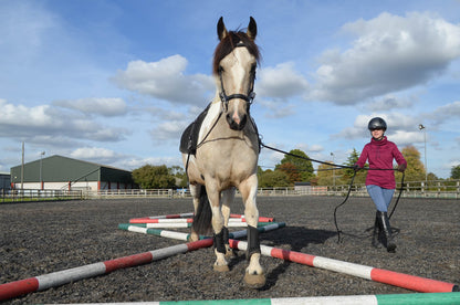 Leather long reins/lines