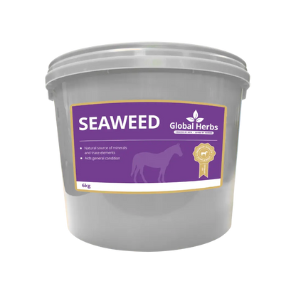 Seaweed - Global Herbs