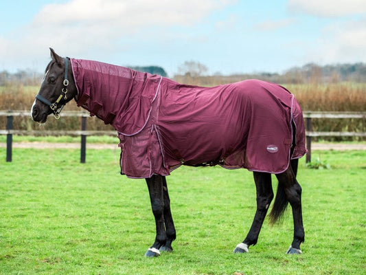 Mesh Fly Rug - Burgundy