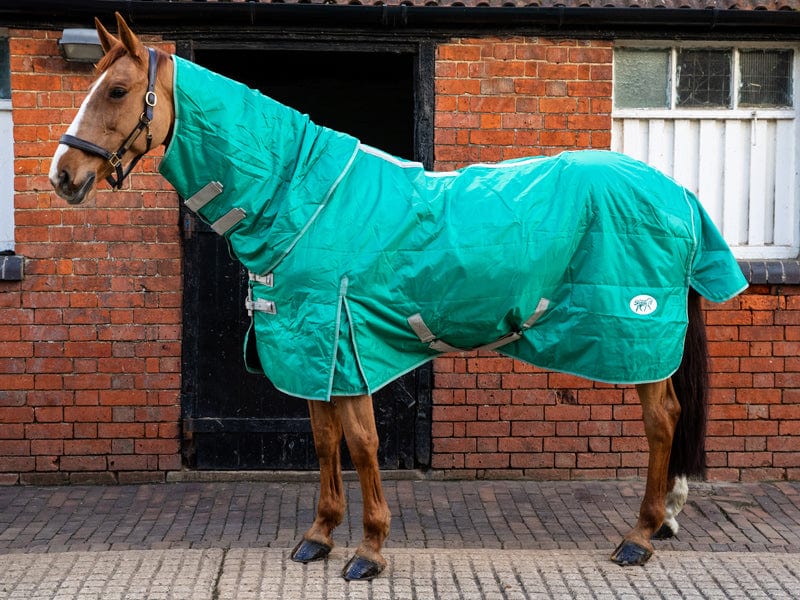 100g Stable Rug With Detachable Neck - Green