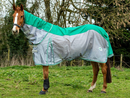 Fly Turnout Combination Rug (NYLON) - Green