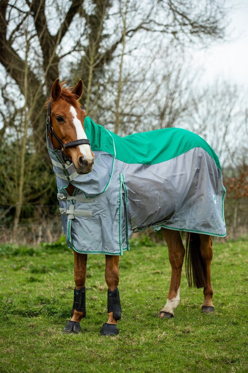 Fly Turnout Combination Rug (MESH) - Green