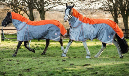 Fly Turnout Combination Rug - Orange