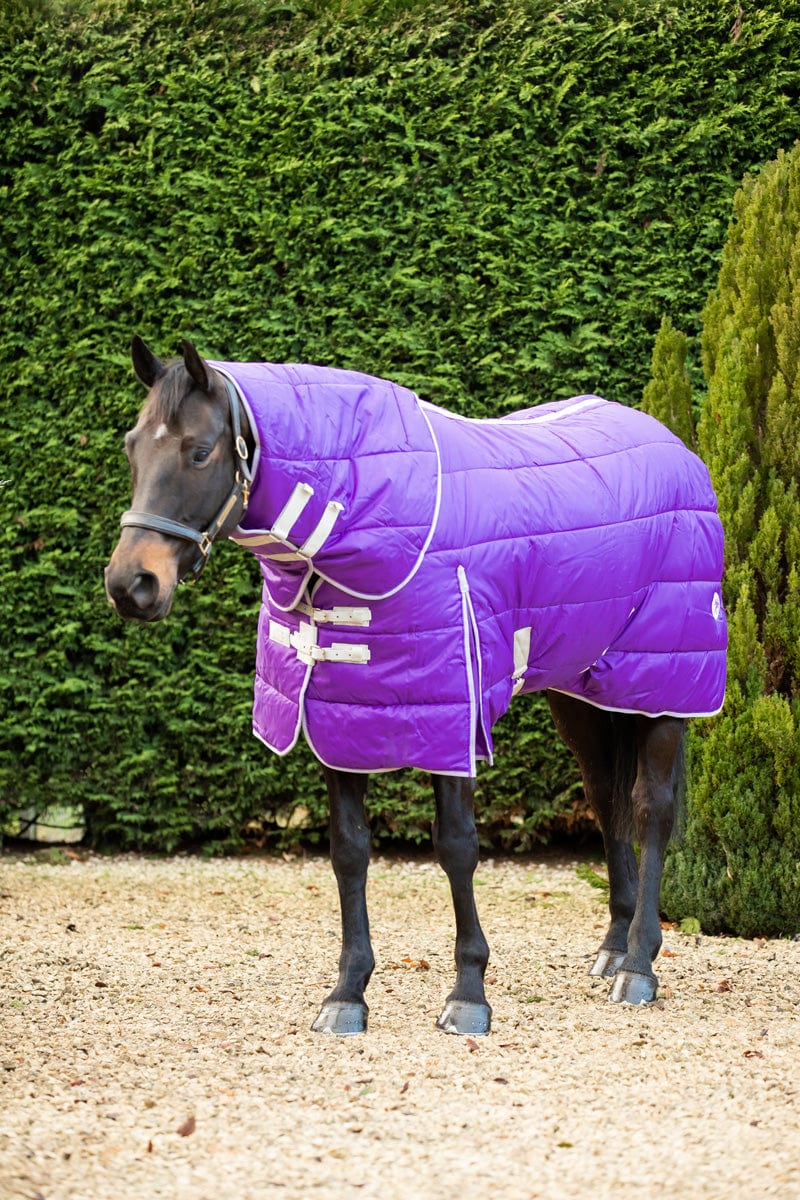 400g Detachable Neck Stable Rug - Purple