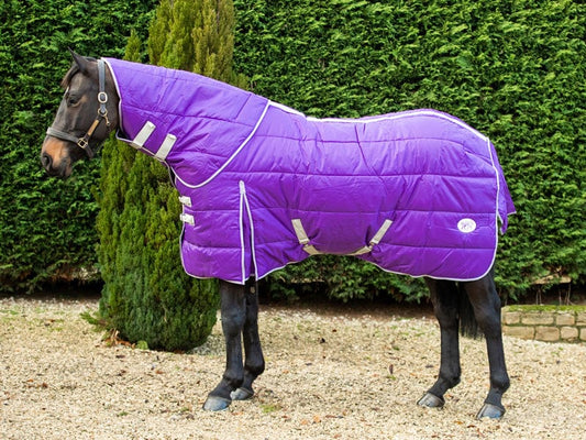400g Detachable Neck Stable Rug - Purple