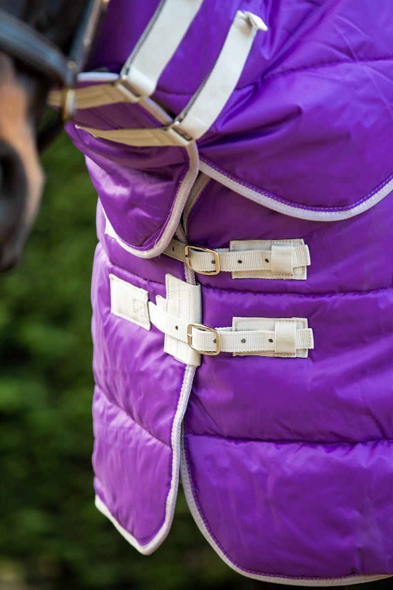 400g Detachable Neck Stable Rug - Purple