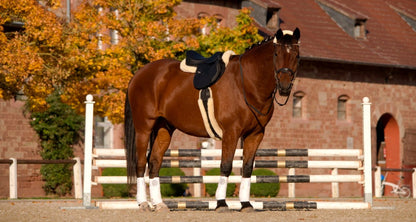 Sheepskin Half Pads - Spine Free with Border