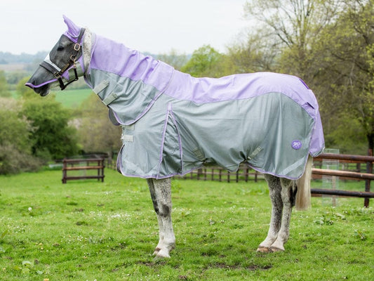 Fly Turnout Combination Rug (NYLON) - Violet
