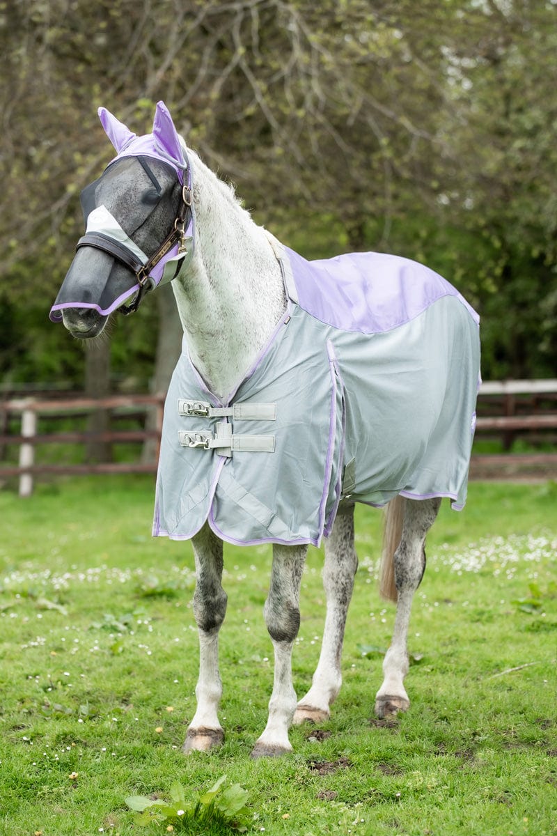 Fly Turnout Combination Rug (NYLON) - Violet