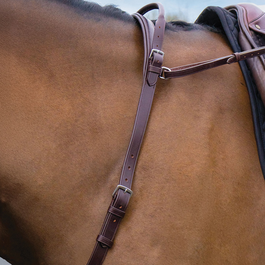 Neck Strap with Handle